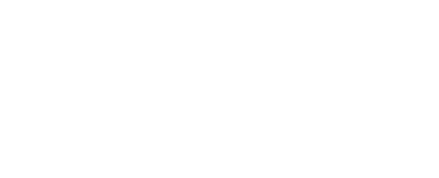 RoboMatiic